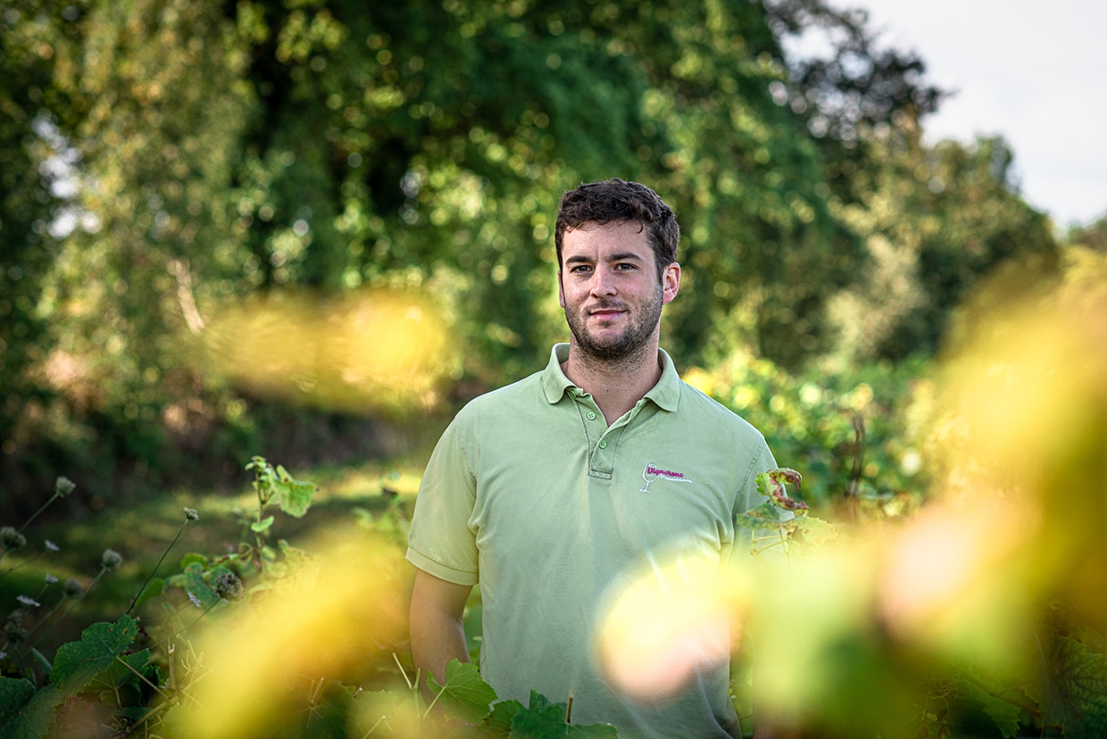 Histoire, Domaine Gadais Père &amp; Fils